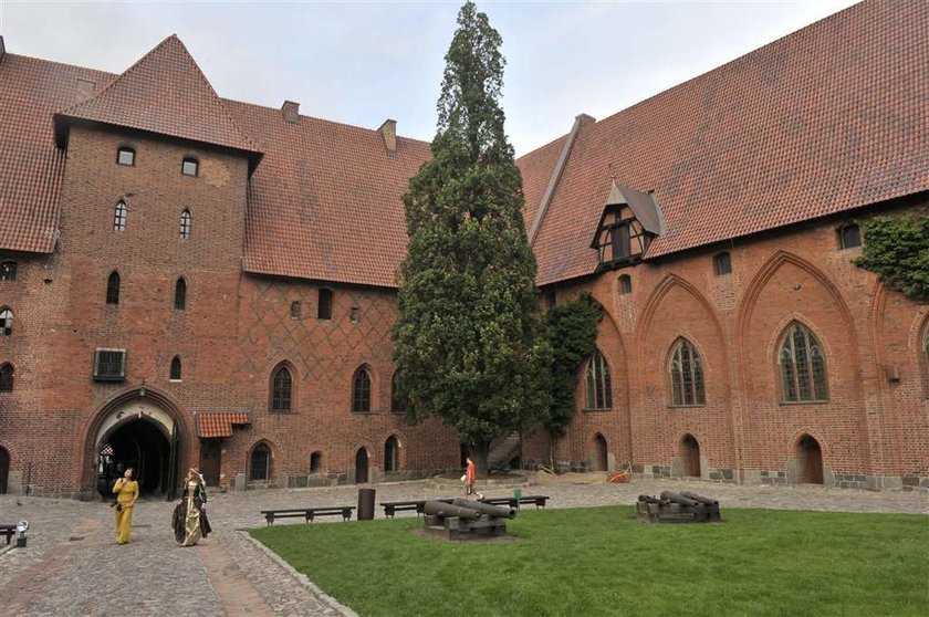 Malbork, Karol Starsburger, bitwa, rekonstrukcja, krzyżacy