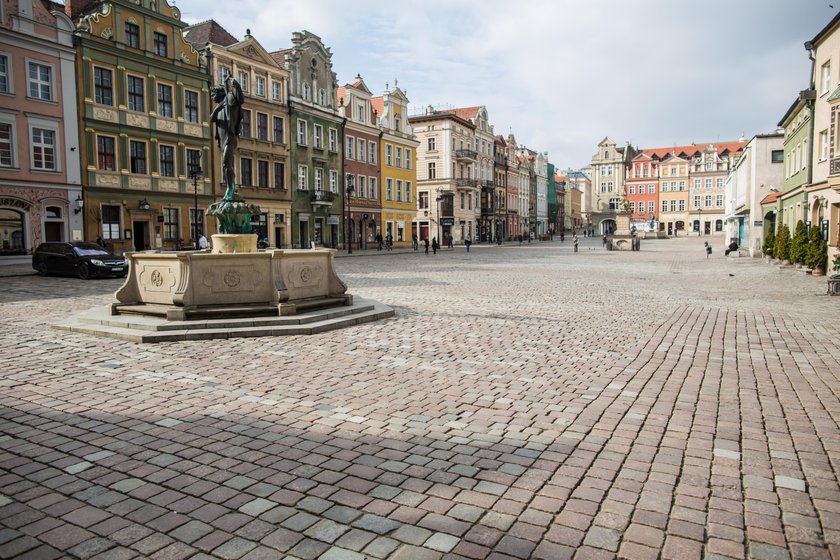 Poznański rynek