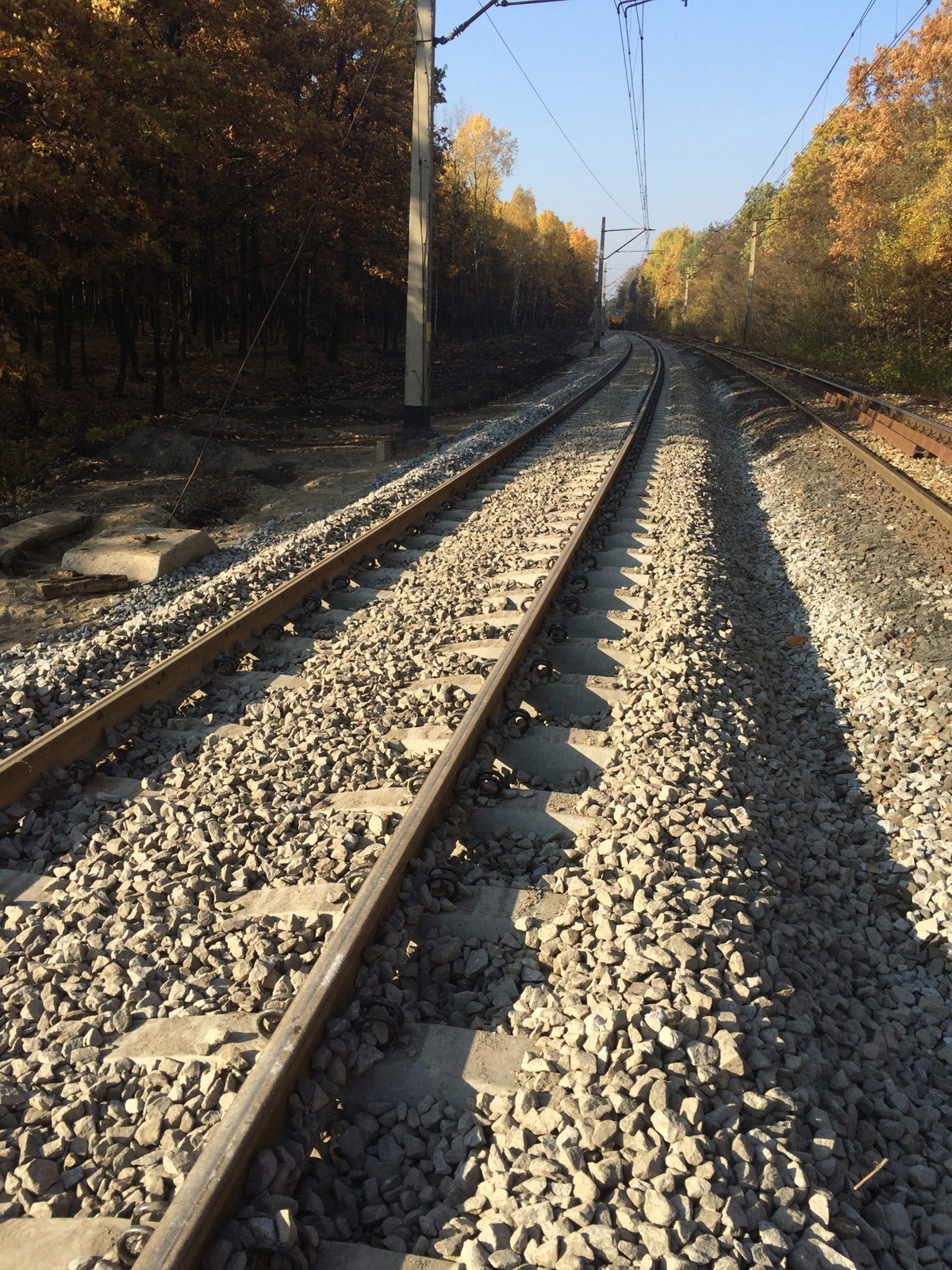 Niemcy wkraczają do konkurencji o polskie tory. "Kolej zamiast transportu drogowego"