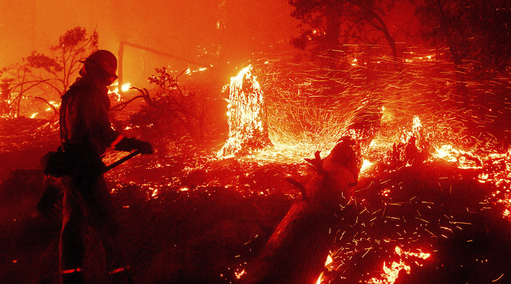 Tűzoltó küzd a lángok megfékezésén a kaliforniai Cascadel Woods közelében pusztító erdőtűz helyszínén / Fotó:MTI/AP/Noah Berger 