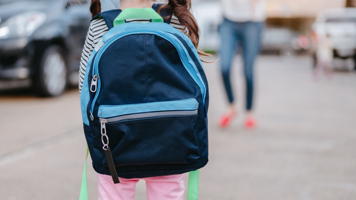 Jestem nauczycielką. Uczę języka polskiego. Pracowałam 6 lat w gimnazjum. To były najlepsze jak do tej pory lata mojej pracy. Obecnie moja placówka została połączona z pobliską szkołą podstawową. Zmiana grona, zmiana zasad, zmiana przyzwyczajeń. Przede wszystkim – zmiana podstawy programowej. Nie chcę strajkować. Bardzo, bardzo nie chcę. Ale będę. Dlaczego? - pisze czytelniczka w liście do redakcji Onetu.