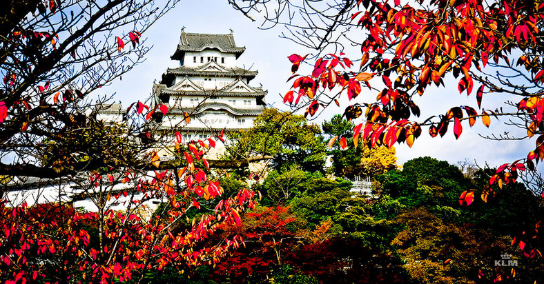 Japonia - Osaka