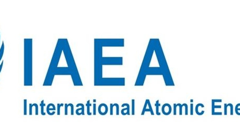 International Atomic Energy Agency (IAEA)