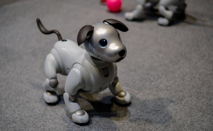 Aibo