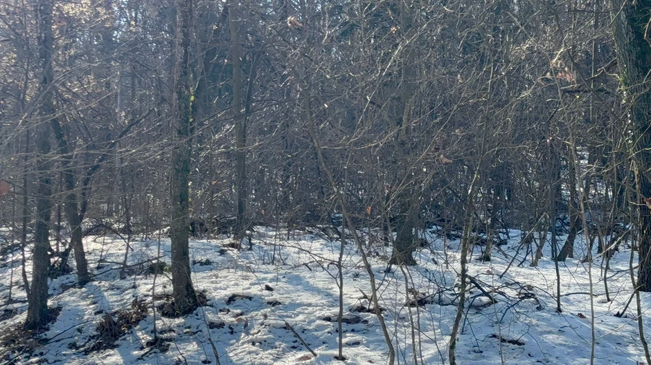 Mesto ubistva  Živka Bakića,  jezero Trešnja