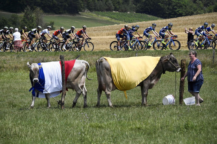 Tour de France prawdopodobniej odbędzie się w sierpniu