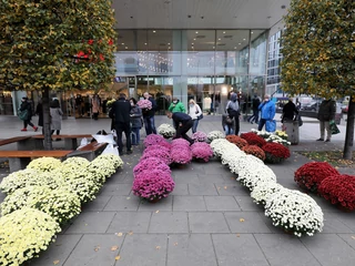 Warszawa była jednym z miast, które pomogły sprzedawcom kwiatów zaskoczonych decyzją rządu o zamknięciu cmentarzy od 31 października do 2 listopada