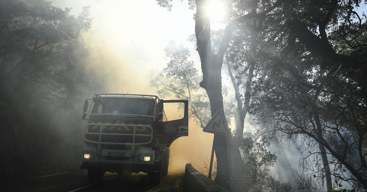 France : grand incendie sur la Côte d’Azur