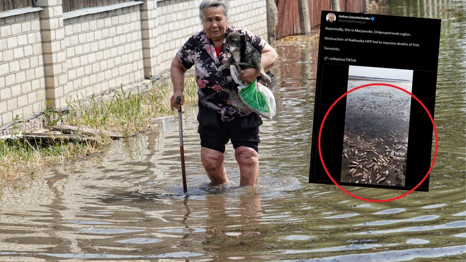 Przerażające skutki wysadzenia tamy w Nowej Kachowce (fot. screen: Twitter/Gerashchenko_en)