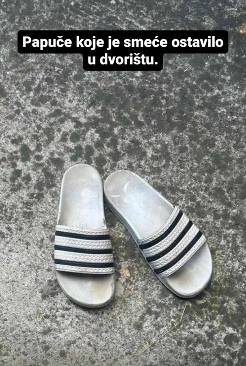 Opljačkana tašta Slobe Radanovića