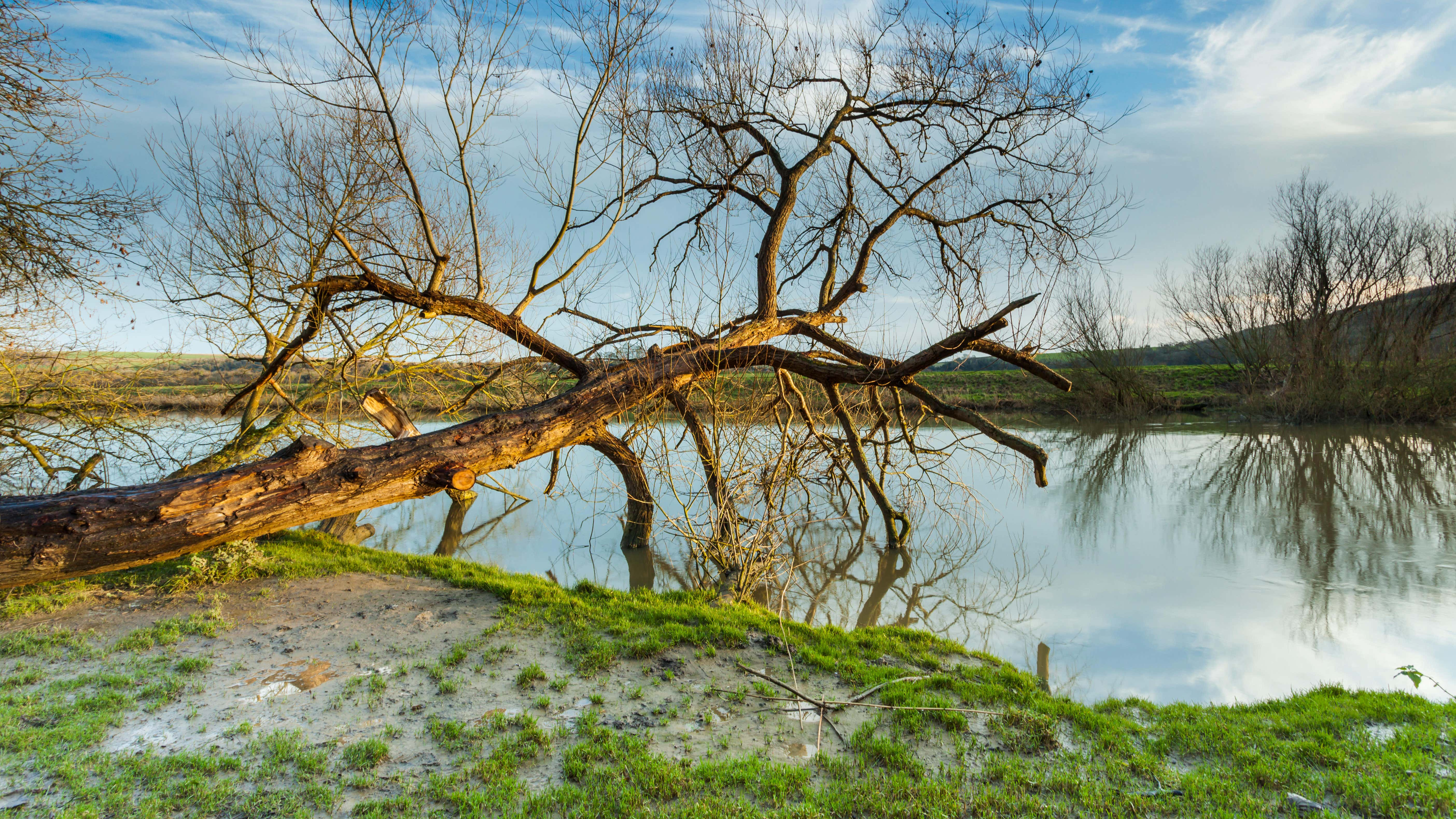 21,000 Sussex homes approved after 4-year freeze