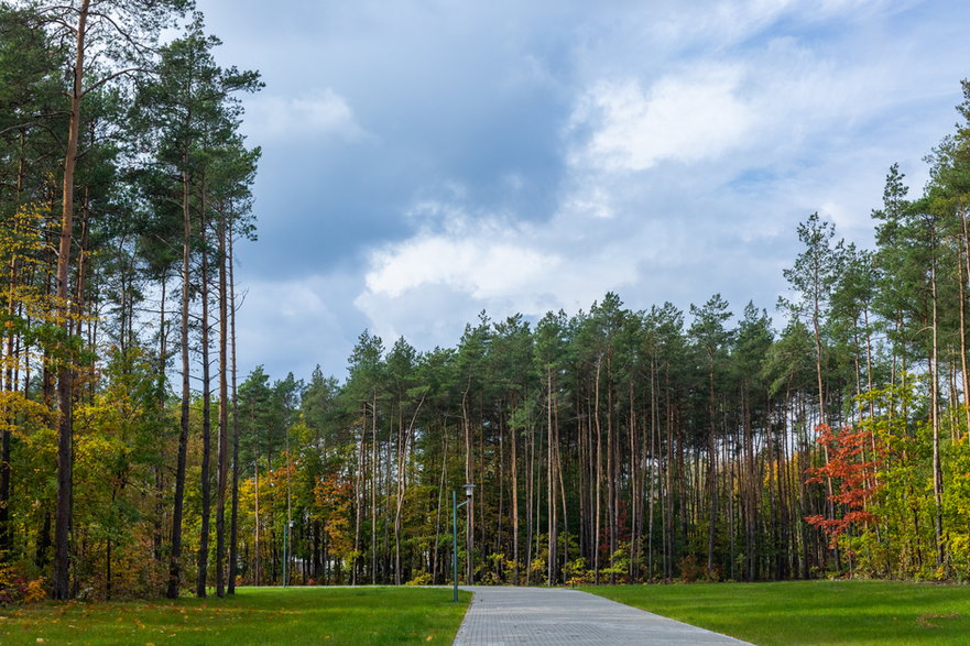 Park Glinianki, Sulejówek