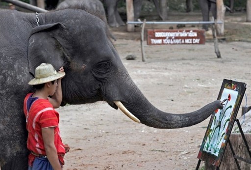 THAILAND - ELEPHANT - TOURISM