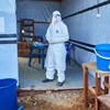 Ebola, DR Kongo