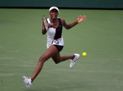 Venus Williams na drodze Radwańskiej do półfinału w Miami