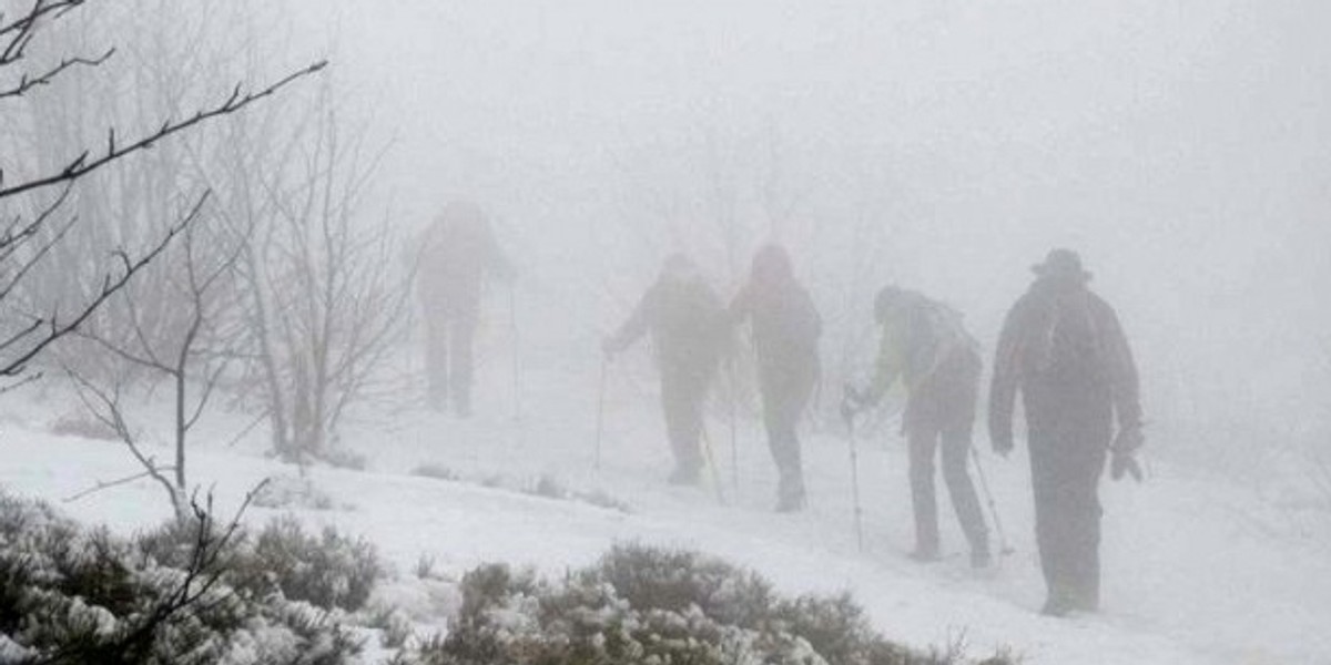 Straż Graniczna poszukuje zaginionej