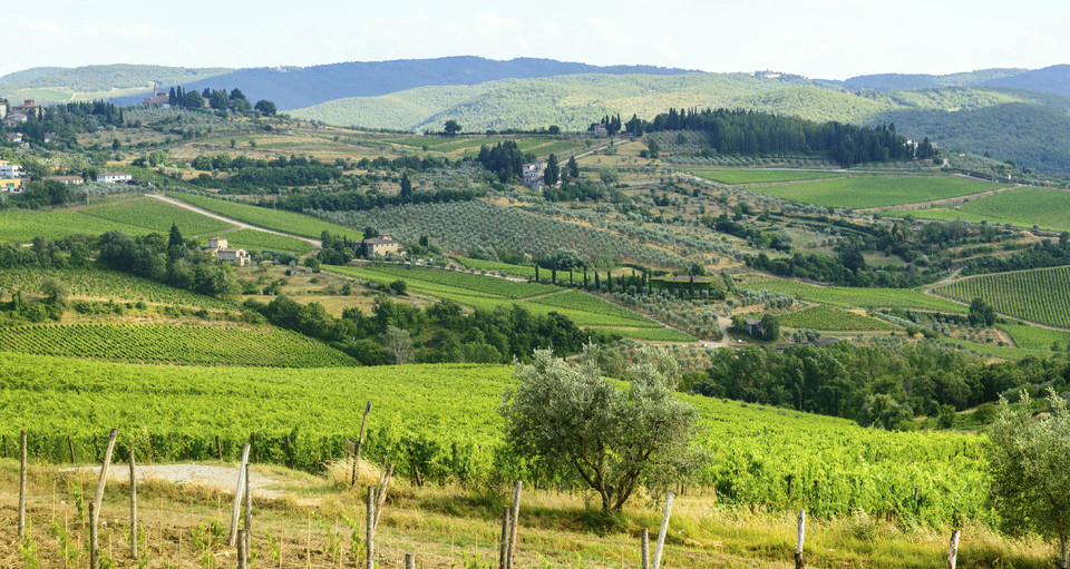 Chianti (Włochy): pofalowane wzgórza i wyścigi