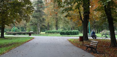 Lublin potrzebuje parków