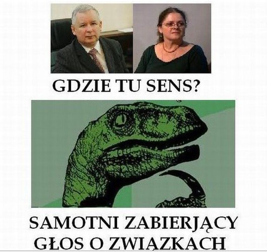 Krystyna Pawłowicz bohaterką memów