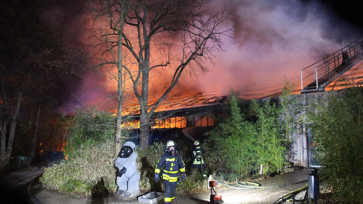 Zoo w Krefeld, które spłonęło w sylwestrową noc