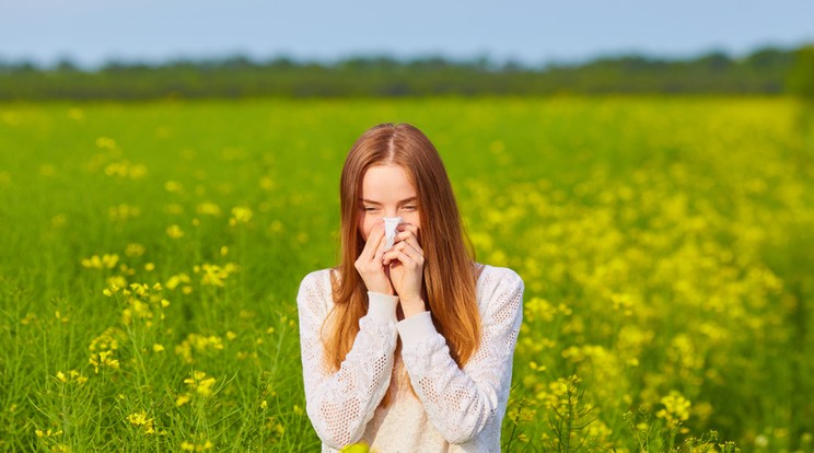 Fotó: Shutterstock 