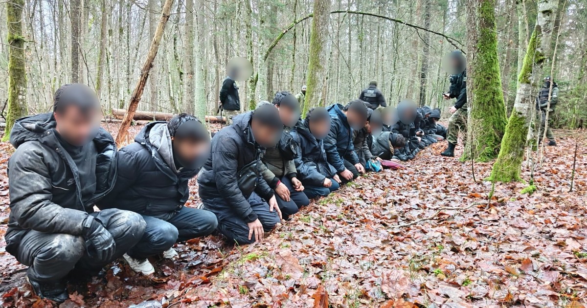 Podkopem pod granicą dostało się do Polski z Białorusi 180 migrantów. "Część zatrzymana"