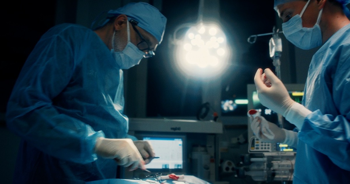 Niezastąpieni – wzruszający film o codziennej pracy lekarzy weterynarii