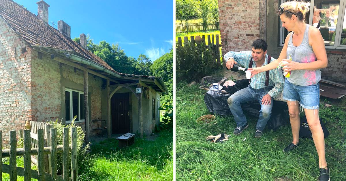 Para remontuje stary dom w gaju. "Wilgoć, pleśń i problemy"