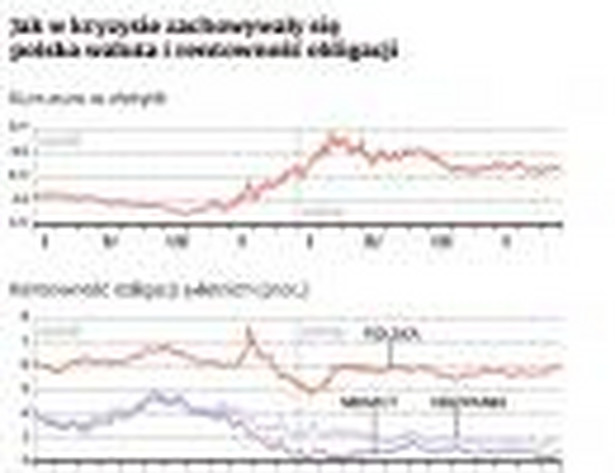 Jak w kryzysie zachowałaby się polska waluta i rentowność obligacji?