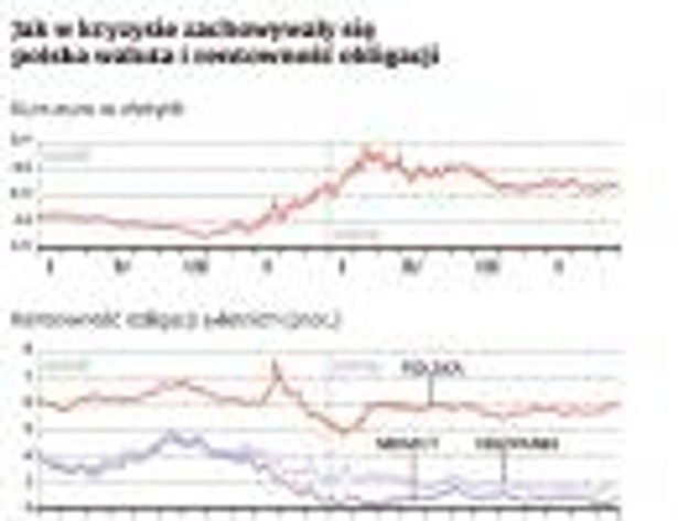 Jak w kryzysie zachowałaby się polska waluta i rentowność obligacji?