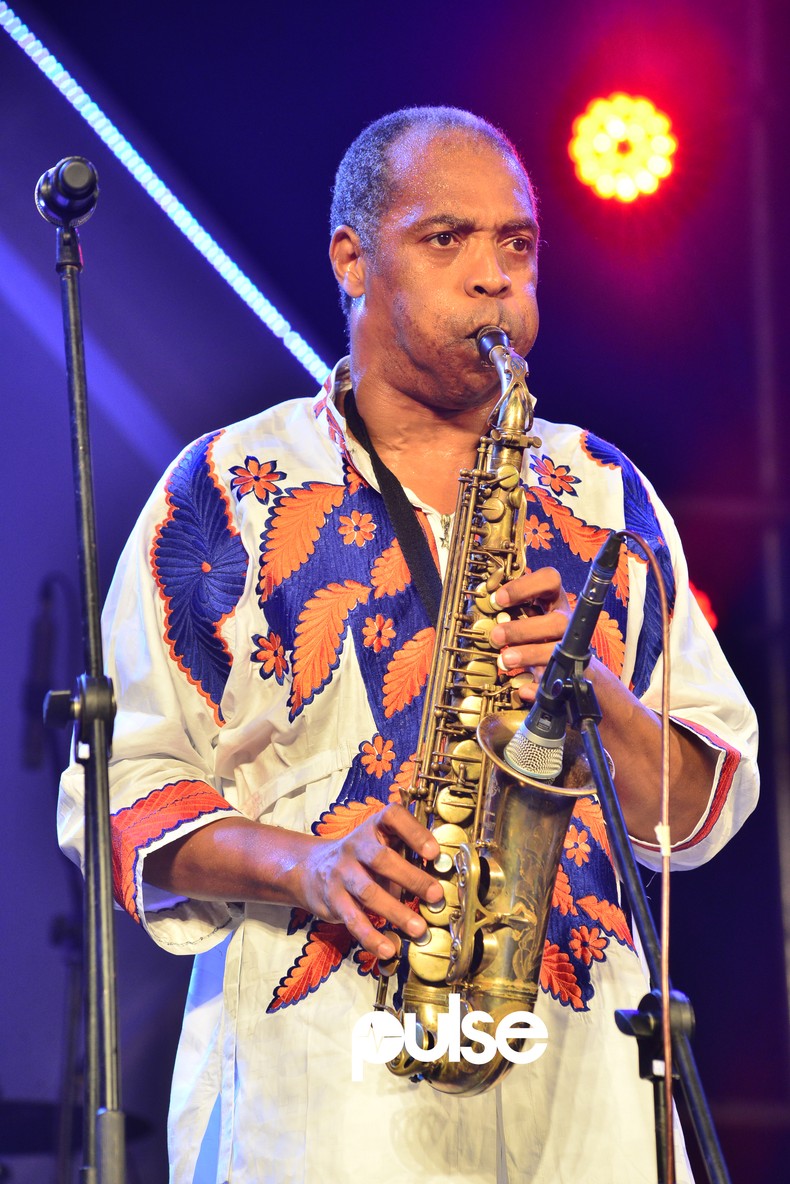 Femi Kuti  [Pulse]