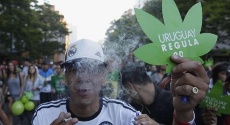 Hard drug usage is legal in some parts of the world [ELPAISEnglish]