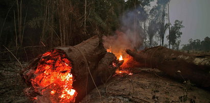 Tysiące żołnierzy w walce z pożarami lasów w Amazonii