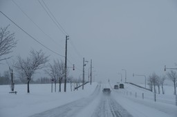zimno w szkole. kiedy dyrektor może zawiesić zajęcia