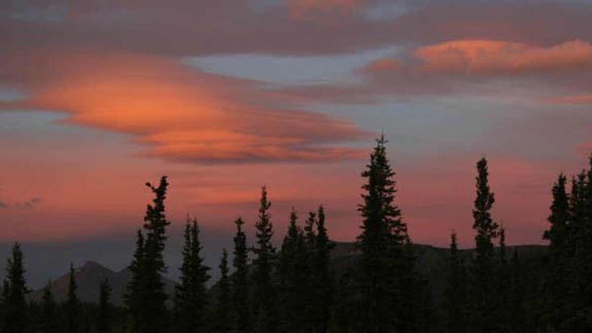 Galeria USA - Park Narodowy Denali, obrazek 1