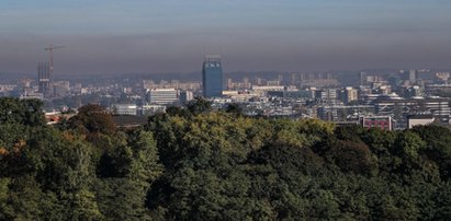 Śmiertelne zagrożenie atakuje również latem!