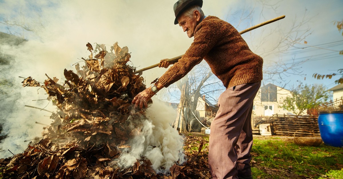 Jesienne porządki na ROD. Ten sposób pozbycia się odpadów zielonych jest kategorycznie zabroniony. Kary są bardzo dotkliwe