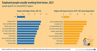 W jakich regionach Europy praca zdalna jest najbardziej popularna? [EUROSTAT]