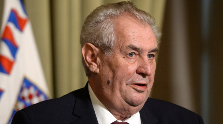 Milos Zeman / Foto: AFP