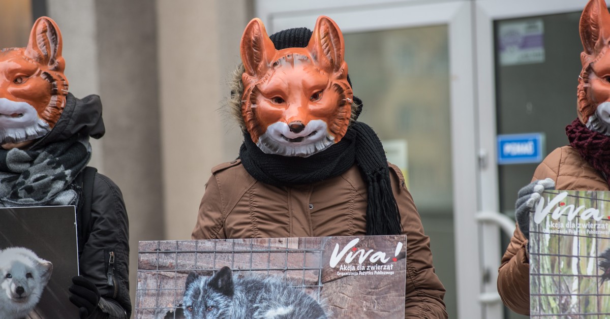 Hodowla zwierząt na futra. Sejm zdecydował