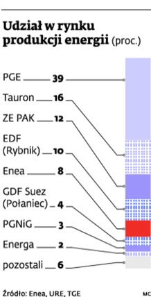 Będzie wojna na paragrafy o kontrakt na rozbudowę elektrowni Kozienice