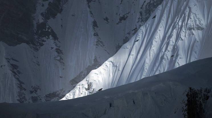 Leopárd a Mount Everesten / Fotó: Profimedia