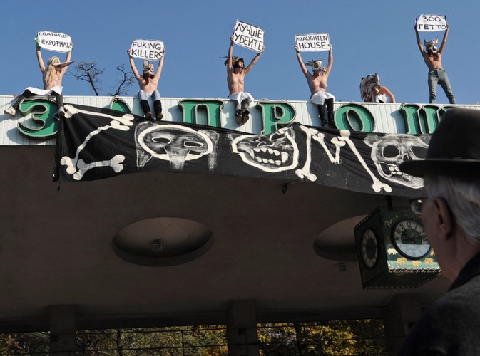 Aktywistki ruchu 'Femen' w kijowskim ZOO