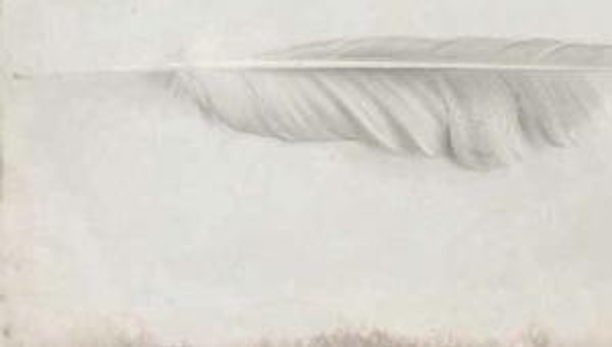 Snowbird "Moon" - recenzja