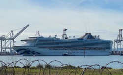 Polacy z Diamond Princess z koronawirusem? Jest odpowiedź  MSZ