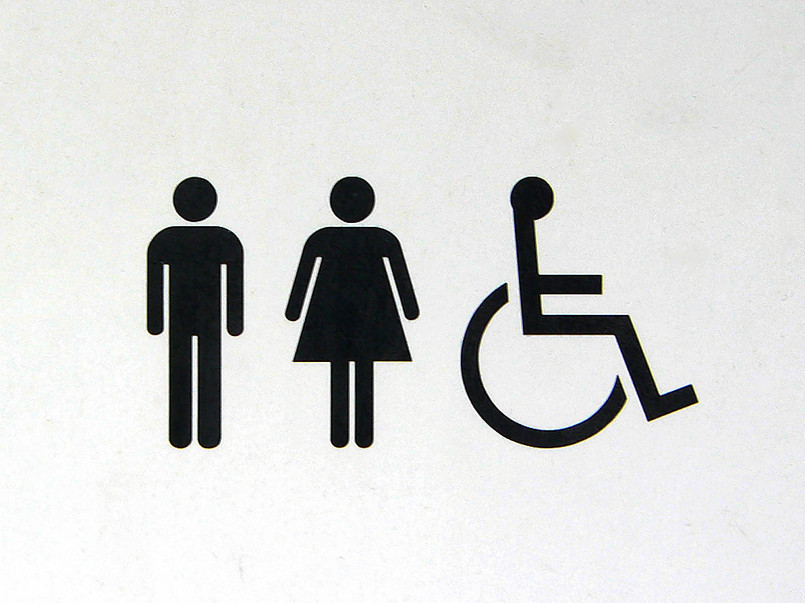 Według spisu powszechnego z 2002 roku w Polsce jest 5,5 mln osób z niepełnosprawnością; nieco więcej jest wśród nich kobiet.