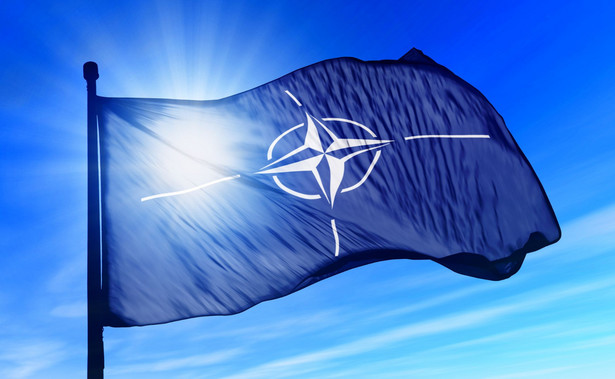 "Po 20 latach przynależności Polski do NATO co jakiś czas daje się wyczuć objawy rozczarowania"
