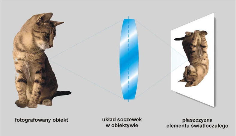 Schemat powstawania obrazu za pomocą obiektywu