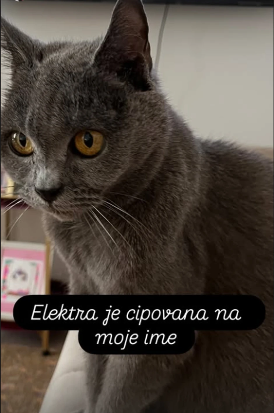 Slavica Ćukteraš preživela dramu