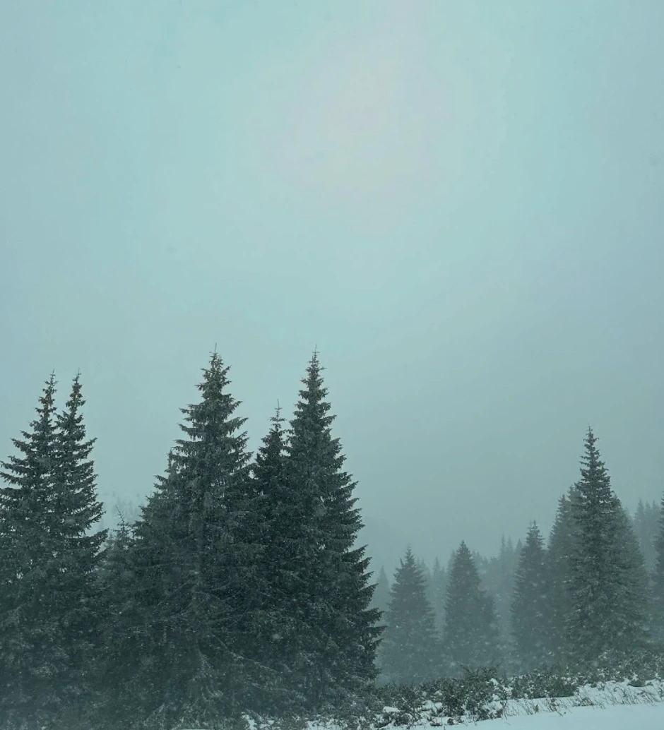 Hana Ikodinović, objava